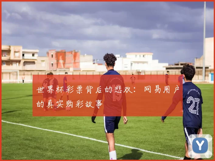 世界杯彩票背后的悲欢:网易用户的真实购彩故事