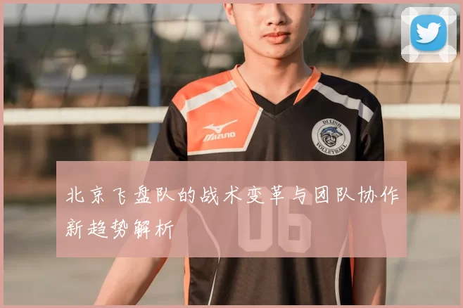 北京飞盘队的战术变革与团队协作新趋势解析