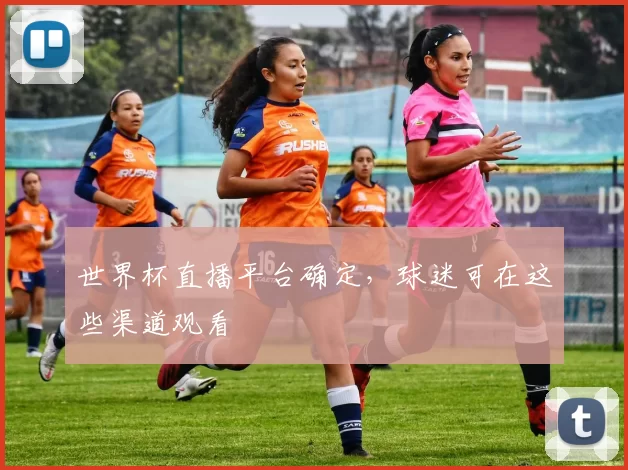 世界杯直播平台确定,球迷可在这些渠道观看