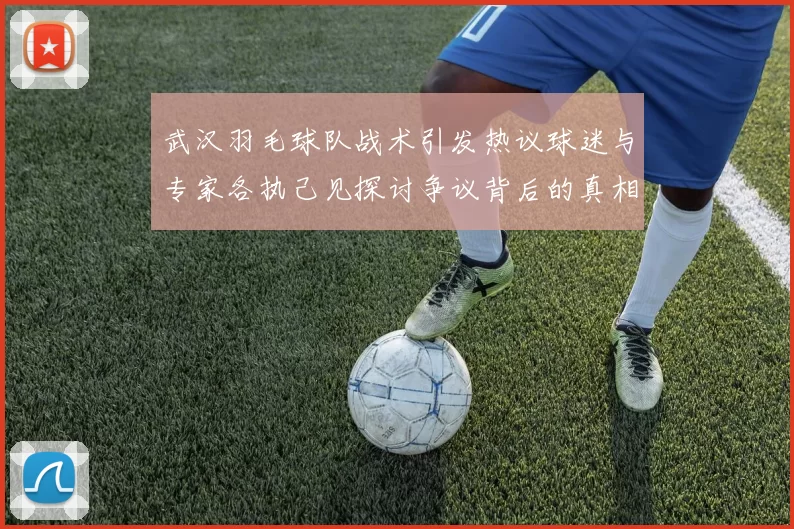 武汉羽毛球队战术引发热议球迷与专家各执己见探讨争议背后的真相
