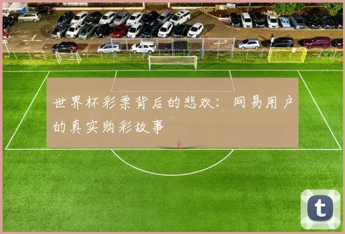 世界杯彩票背后的悲欢:网易用户的真实购彩故事