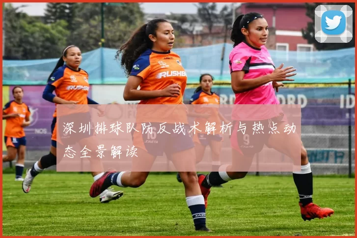 深圳排球队防反战术解析与热点动态全景解读