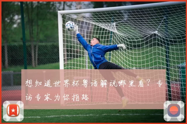 想知道世界杯粤语解说哪里看?专访专家为你指路