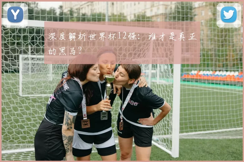 深度解析世界杯12强：谁才是真正的黑马？