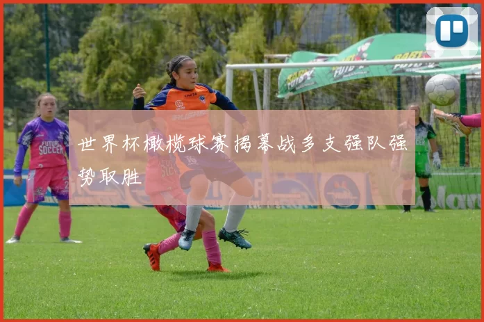 世界杯橄榄球赛揭幕战多支强队强势取胜