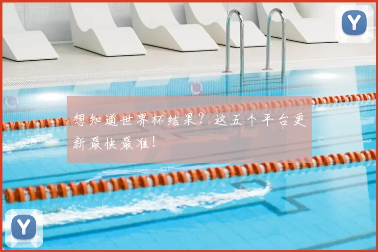 想知道世界杯结果？这五个平台更新最快最准！