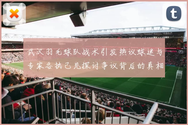 武汉羽毛球队战术引发热议球迷与专家各执己见探讨争议背后的真相