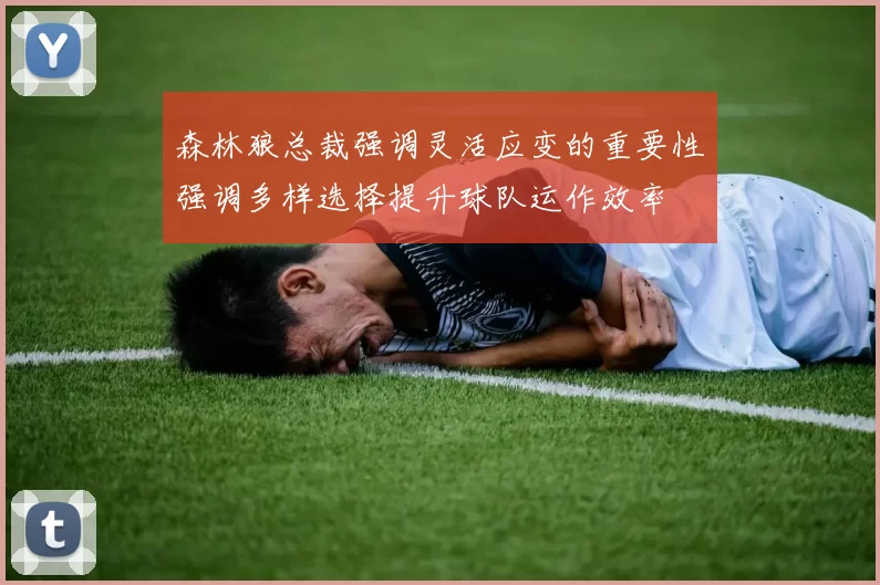 森林狼总裁强调灵活应变的重要性强调多样选择提升球队运作效率